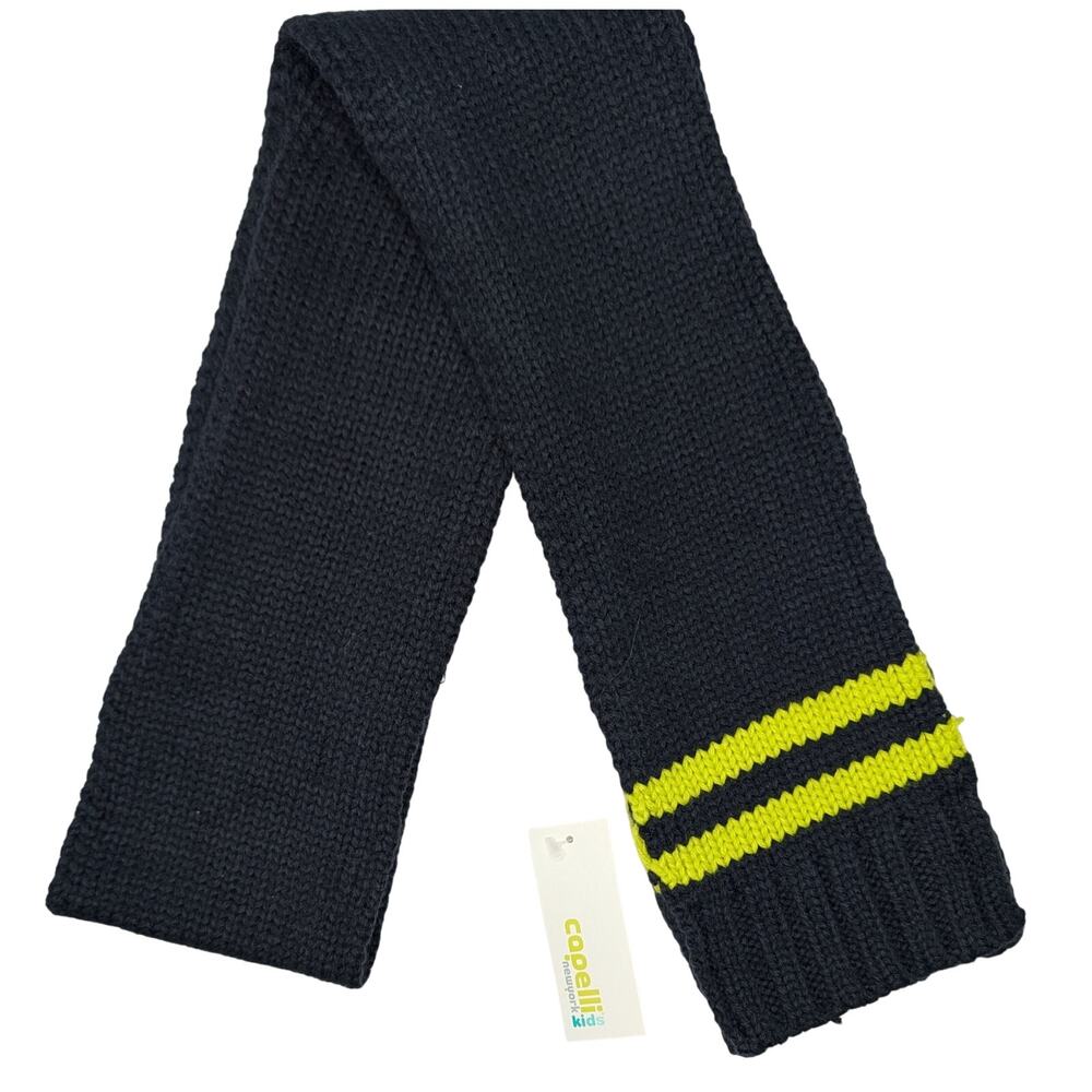 Capelli of New York Boys Navy Stripe Knit Scarf